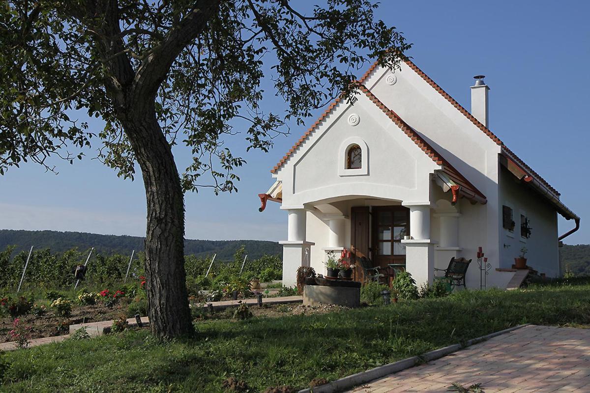 Casa Beata Villa Lesencetomaj Luaran gambar