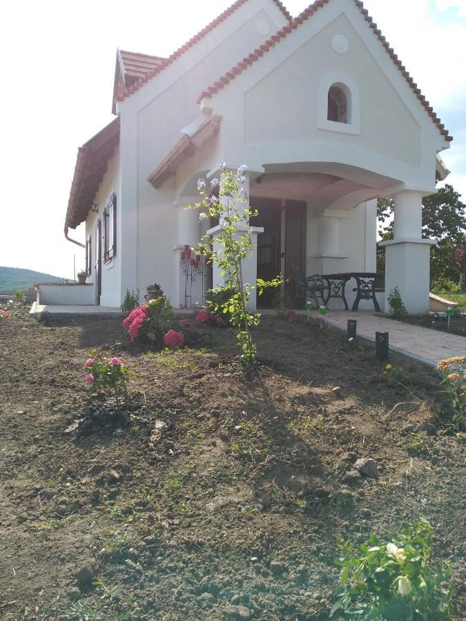Casa Beata Villa Lesencetomaj Luaran gambar